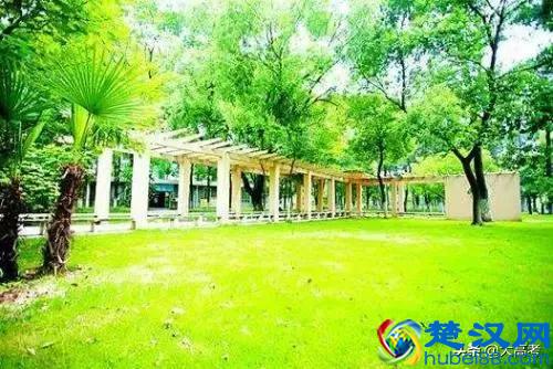 文科专业少！文科考生青睐的八个专业及大学！文科学霸选专业大学