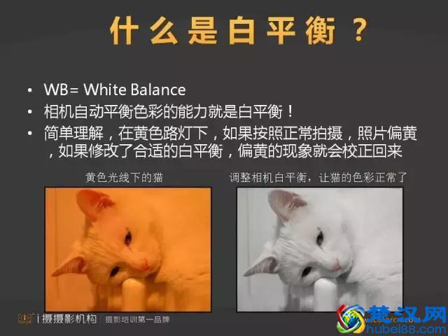 白平衡是什么？你知道如何运用吗？