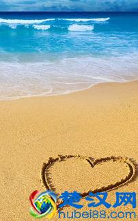 怎样才能提升免疫力,蛋白质粉好不好?