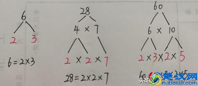 五年级数学：分解质因数，你学会了吗？教你几招，轻轻松松掌握