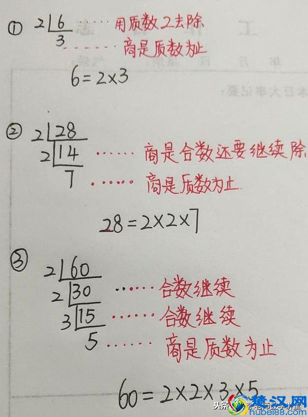 五年级数学：分解质因数，你学会了吗？教你几招，轻轻松松掌握