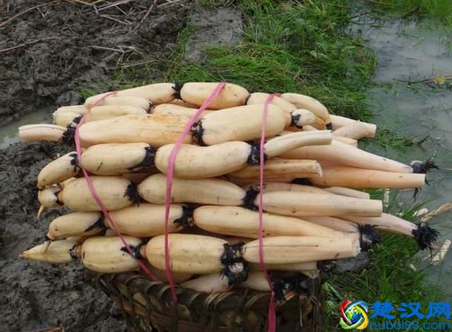 十大类食物,越吃越健康,泻肝火效果特别好