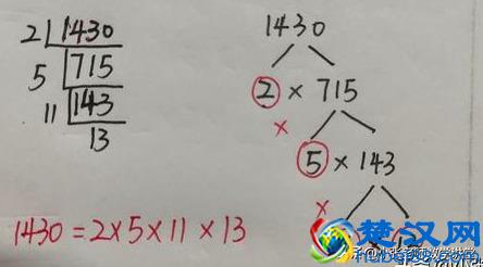 五年级数学：分解质因数，你学会了吗？教你几招，轻轻松松掌握