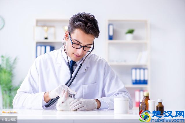 越老越吃香的6大专业，就业前景好，工资越来越高！