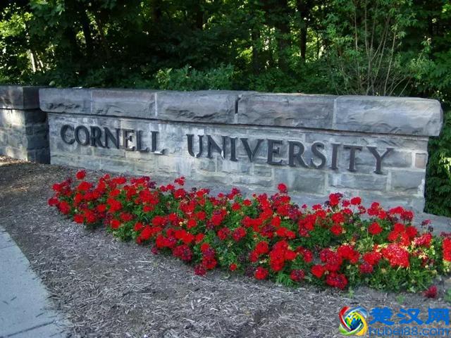 康奈尔大学——美国最容易进入、最难毕业的学校！