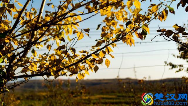 2019中国“科技”大学排名，北科大第五，杭州电子科技大学第八