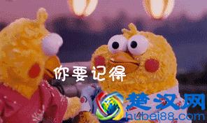 原液、精华液、肌底液有什么区别？