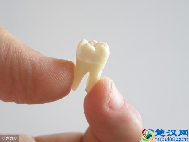 什么材料的假牙比较好？很简单，适合自己的才是最好的