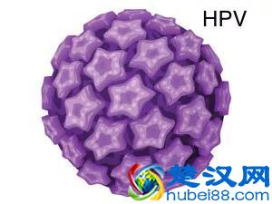 HPV病毒阳性是什么意思？了解宫颈癌的一级预防