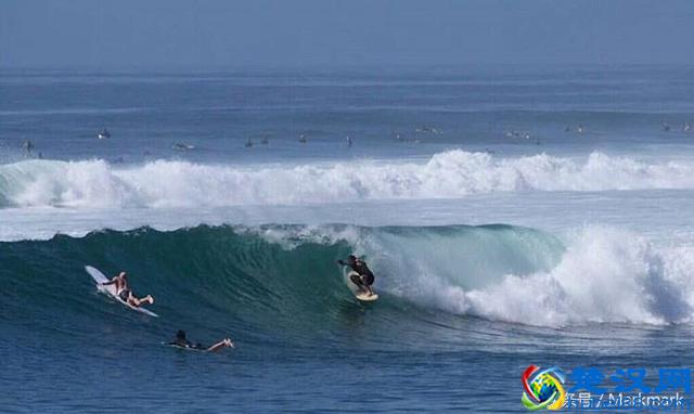 加利福尼亚大学最棒的五个校区