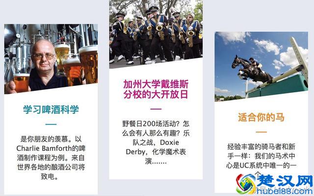 加利福尼亚大学最棒的五个校区