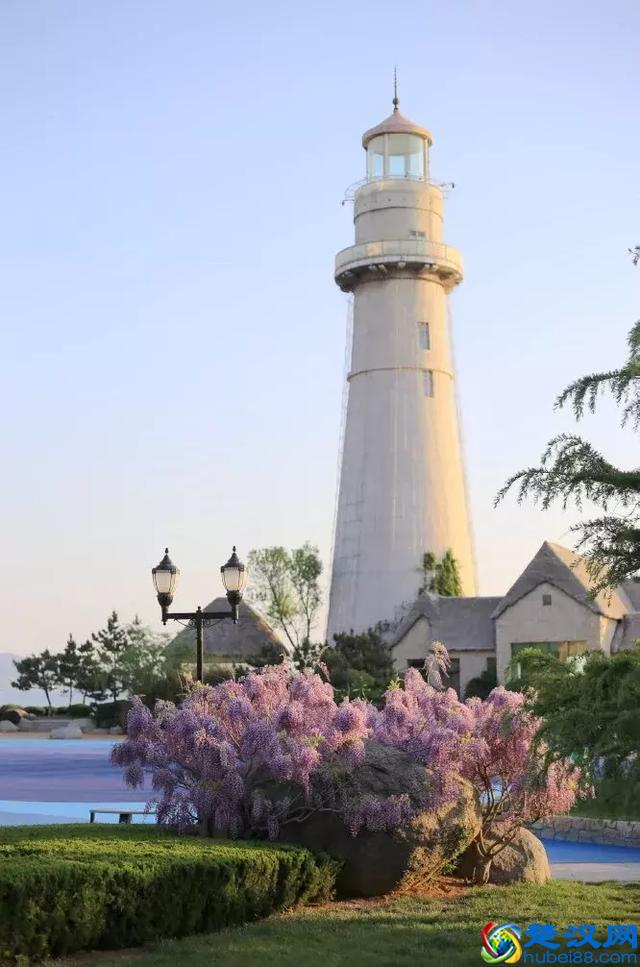 杜鹃紫藤正艳！来威海尽赏姹紫嫣红