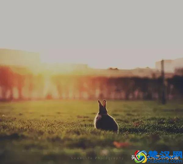 “三十而立”，立什么？原来是这个意思