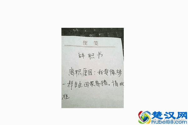 写给老板的辞职报告，各种“借口和原因”看完值得反思！