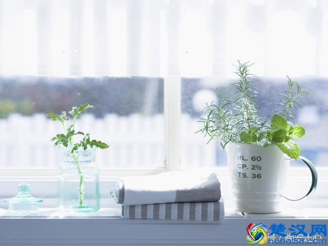 如果你是一个循规蹈矩的人，那此刻我将会是一事无成