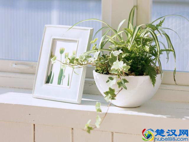 如果你是一个循规蹈矩的人，那此刻我将会是一事无成