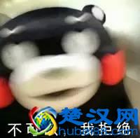 快递还没到？同学别着急，这就告诉你各大快递公司什么时候上班！