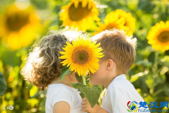 小孩应该从几岁开始学前教育，学前教育主要是做什么？