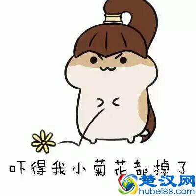 不寒而栗的故事