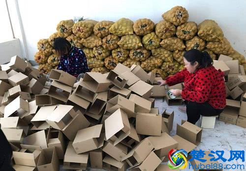 2019年不想打工，3个生意家门口也能做，轻松挣钱，现在入行正好