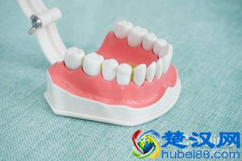 科学测试了9款100-500元电动牙刷，这几款好用最值得买