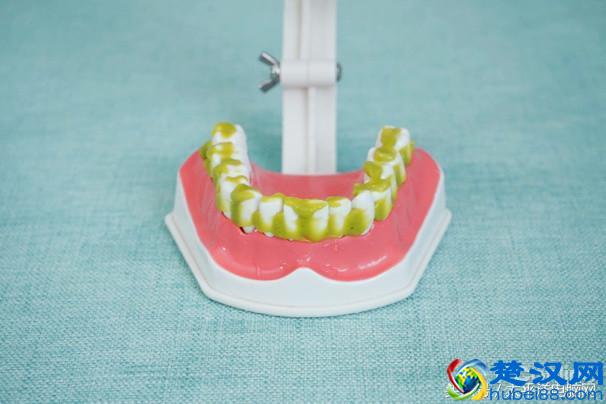 科学测试了9款100-500元电动牙刷，这几款好用最值得买