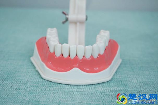 科学测试了9款100-500元电动牙刷，这几款好用最值得买