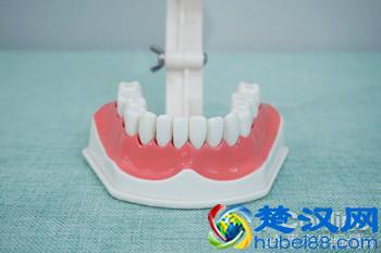 科学测试了9款100-500元电动牙刷，这几款好用最值得买