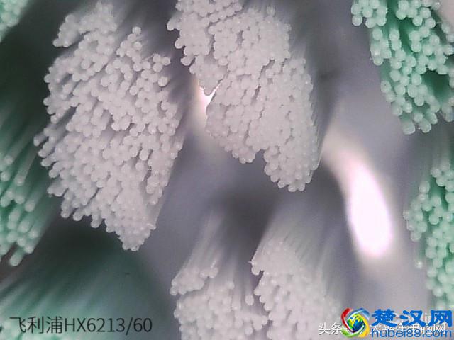 科学测试了9款100-500元电动牙刷，这几款好用最值得买