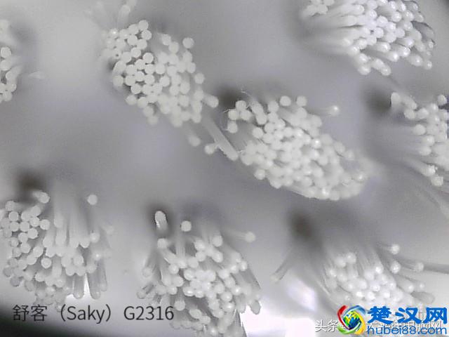 科学测试了9款100-500元电动牙刷，这几款好用最值得买
