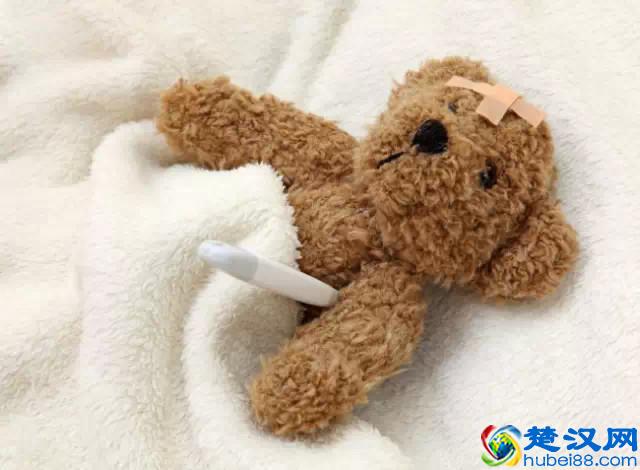 大学生创业点子（一年净赚30万的创业点子）