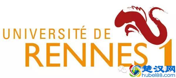 彪悍的雷恩一大，无需多做解释