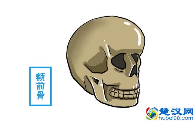 诸葛亮真的是因魏延天生反骨才要杀他？那反骨到底长啥样？