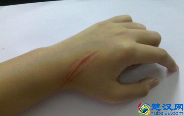 鸡蛋壳还有这么实用的作用！扔掉太可惜，用起来能省不少钱