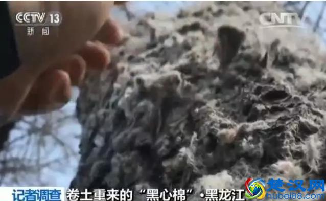 调查｜旧被褥、医疗垃圾成原料 “黑心棉被”在一些地方居然进了商场