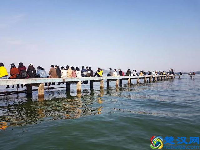 法学专业实力最强的28所大学排名：清华第4，北大第3，人大第1