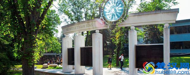 卡尔加里大学什么专业好？3分钟带你了解卡大的热门专业！