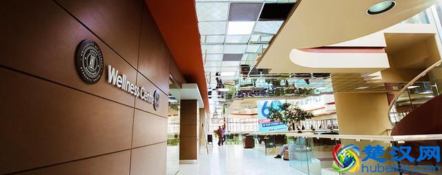 卡尔加里大学什么专业好？3分钟带你了解卡大的热门专业！