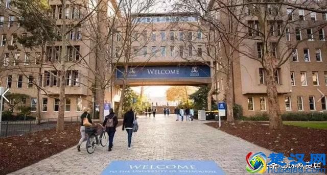 最新世界大学排行榜只看见美英屠榜？被你忽略的那些才是真相