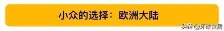 最新世界大学排行榜只看见美英屠榜？被你忽略的那些才是真相