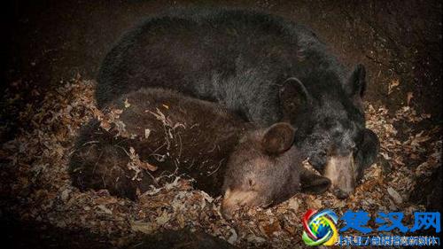 为什么下雨的时候人会睡得比较香？