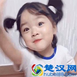 最新世界大学排行榜只看见美英屠榜？被你忽略的那些才是真相