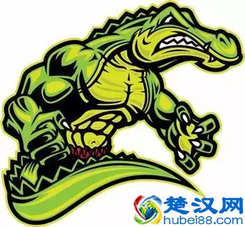 蝴蝶效应、青蛙现象、鳄鱼法则、鲇鱼效应、羊群效应、刺猬法则