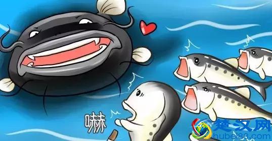 蝴蝶效应、青蛙现象、鳄鱼法则、鲇鱼效应、羊群效应、刺猬法则