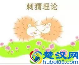 蝴蝶效应、青蛙现象、鳄鱼法则、鲇鱼效应、羊群效应、刺猬法则