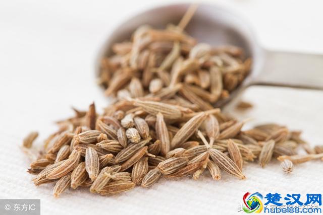 小茴香是失眠的“福音”，但这4个额外好处，你未必清楚