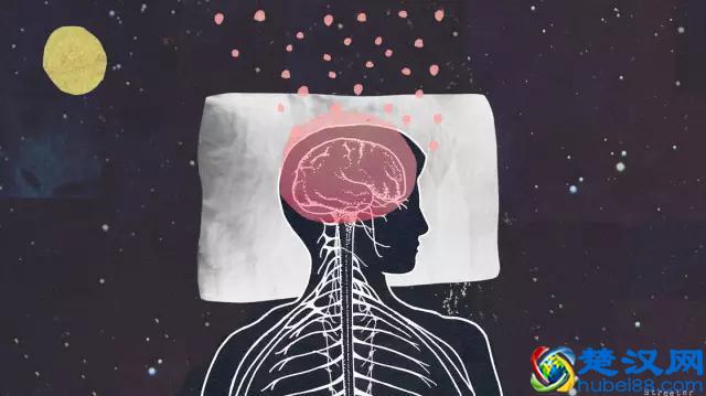 人为什么一定要睡觉？有一个很牛逼的原因