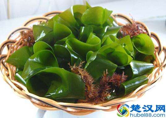 螺旋藻的功效与作用 营养价值及禁忌