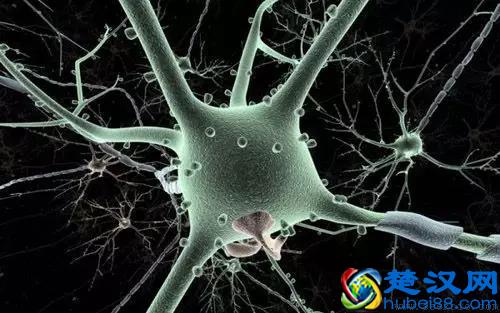 人为什么一定要睡觉？有一个很牛逼的原因