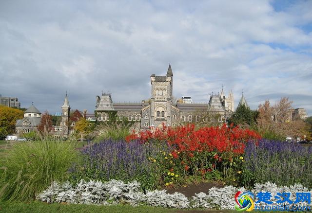 多伦多大学哪个专业好